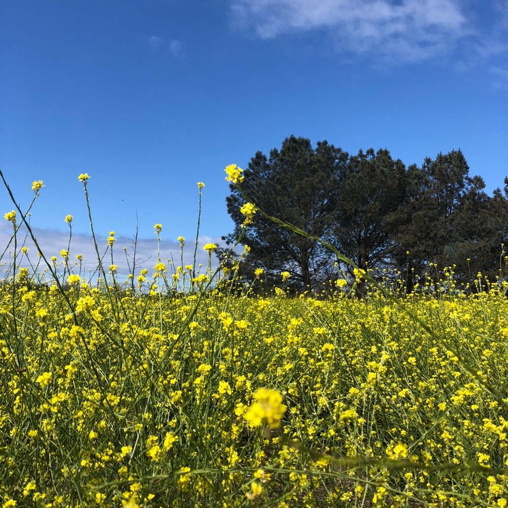 Meet your Posher, Katia